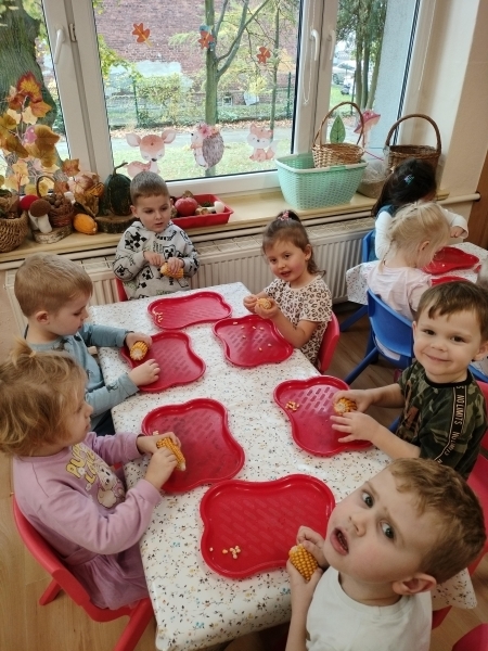 ''Obieramy Kukurydzę'' Zajęcia sensoryczne rozwijające motorykę małą