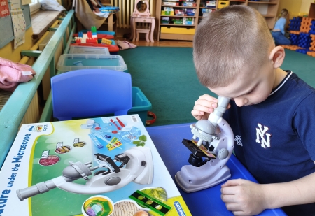 ''OGRÓDEK NA OKNIE''