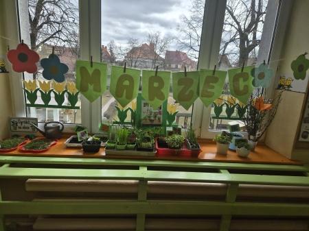 Pielęgnujemy nasze rośliny