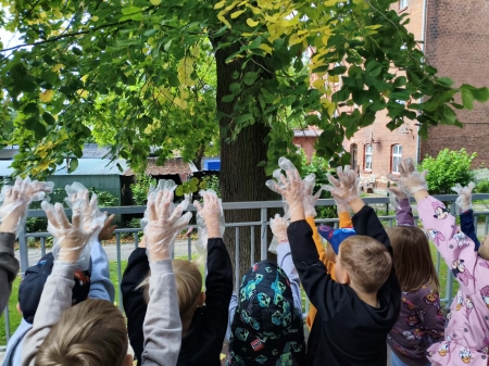 SPRZĄTANIE ŚWIATA